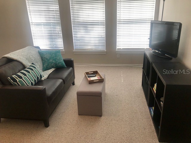 533 Greenbrier Avenue #B Celebration FL 34747 S5152222 image3