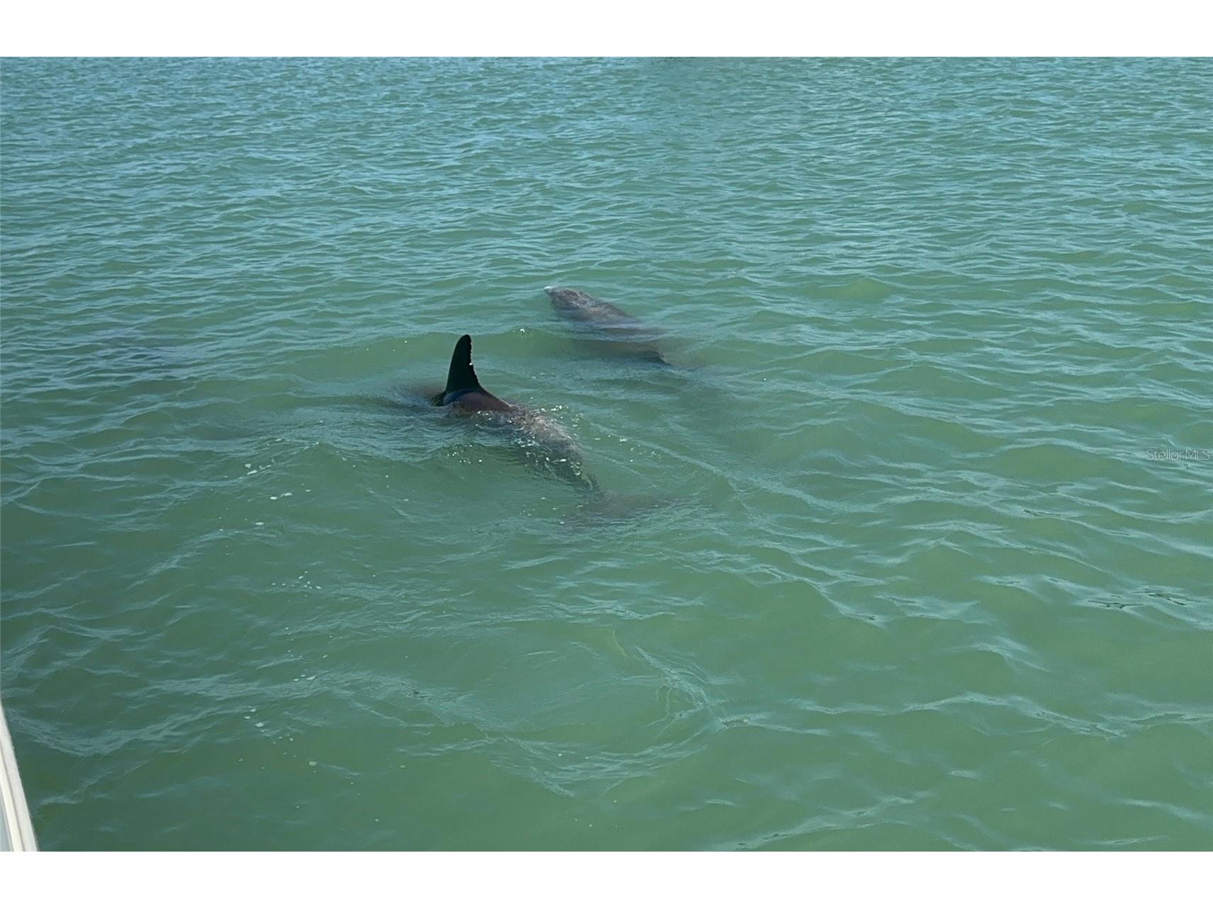 533 Lillian Drive Madeira Beach FL 33708 TB8374953 image8