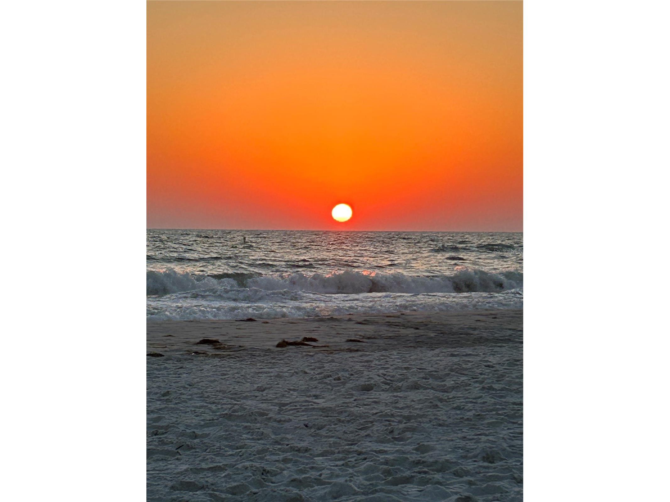 533 Lillian Drive Madeira Beach FL 33708 TB8374953 image81