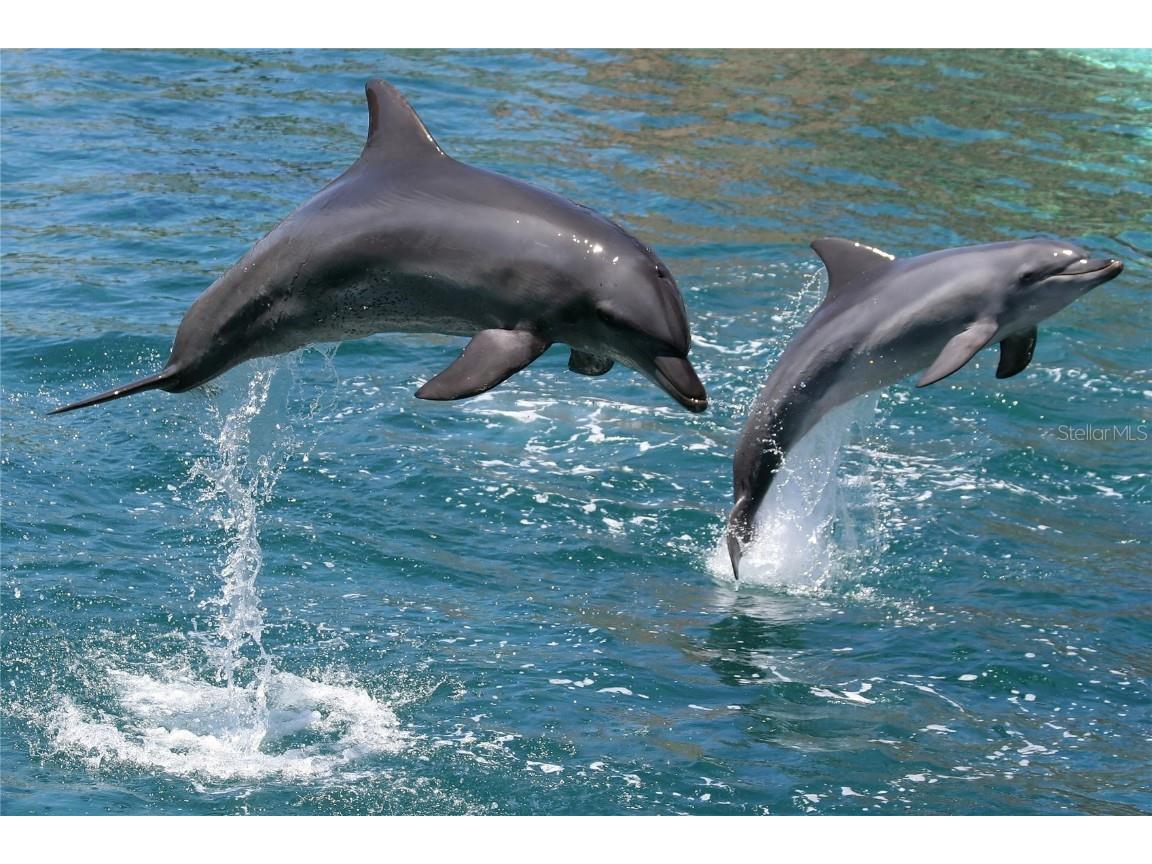 533 Marina Point Drive #533 Daytona Beach FL 32114 V4945496 image45