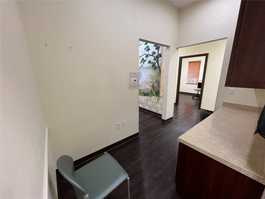 533 Medical Oaks Avenue #3 Brandon FL 33511 T3511274 image20