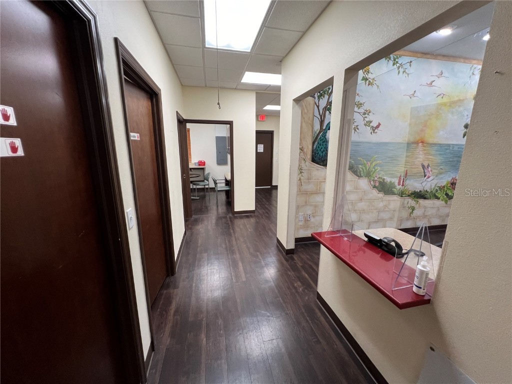 533 Medical Oaks Avenue #3 Brandon FL 33511 T3511274 image34