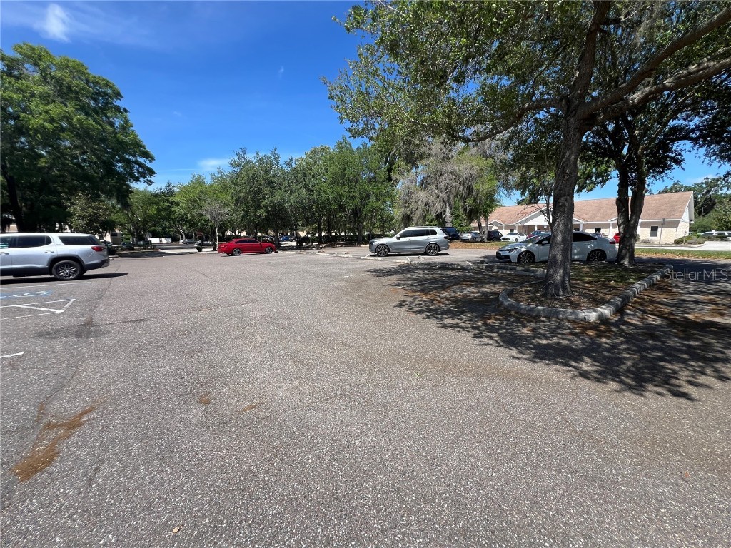 533 Medical Oaks Avenue #3 Brandon FL 33511 T3511274 image5