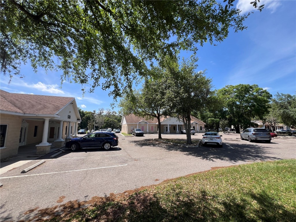 533 Medical Oaks Avenue #3 Brandon FL 33511 T3511274 image6