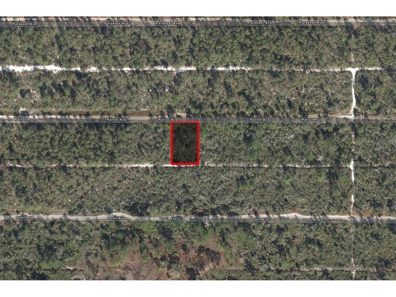 533 Parrot Avenue Sebring FL 33872 TB8469726 image1