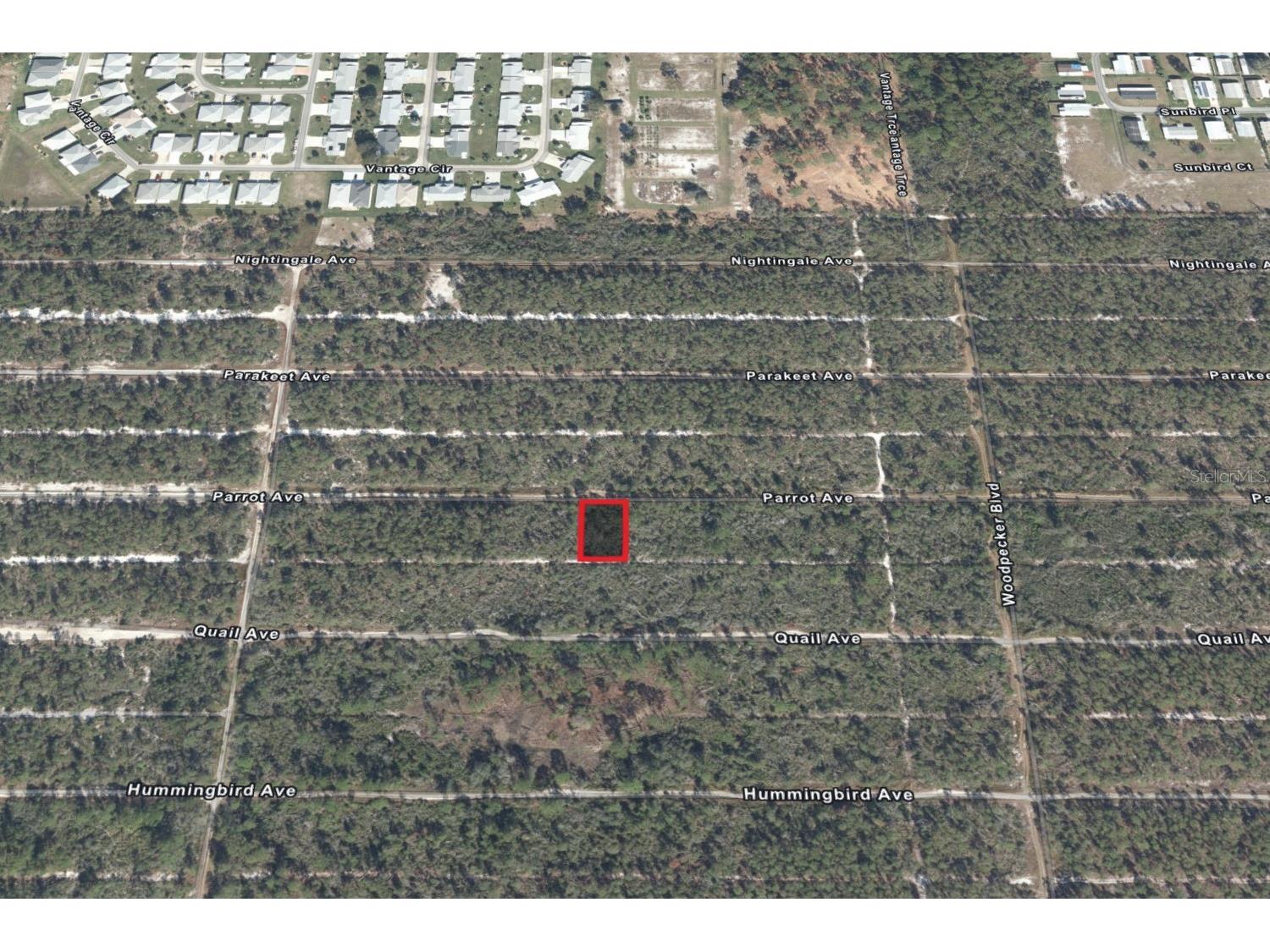 533 Parrot Avenue Sebring FL 33872 TB8469726 image3