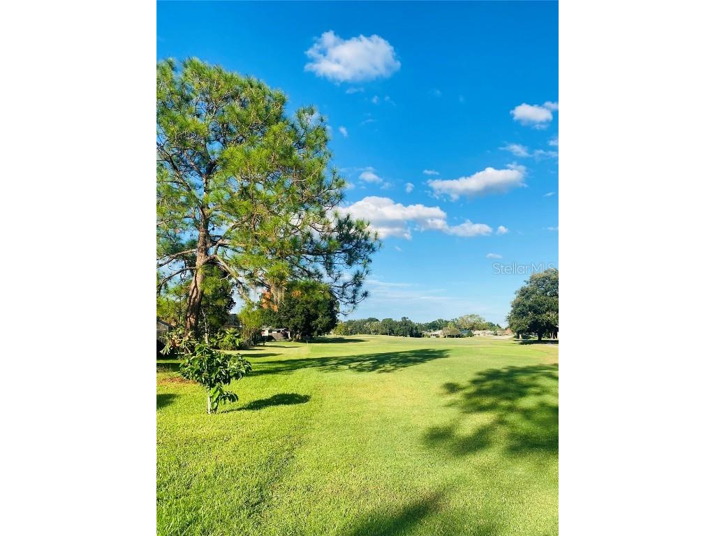 533 Saint Andrews Road Winter Haven FL 33884 B4902097 image32