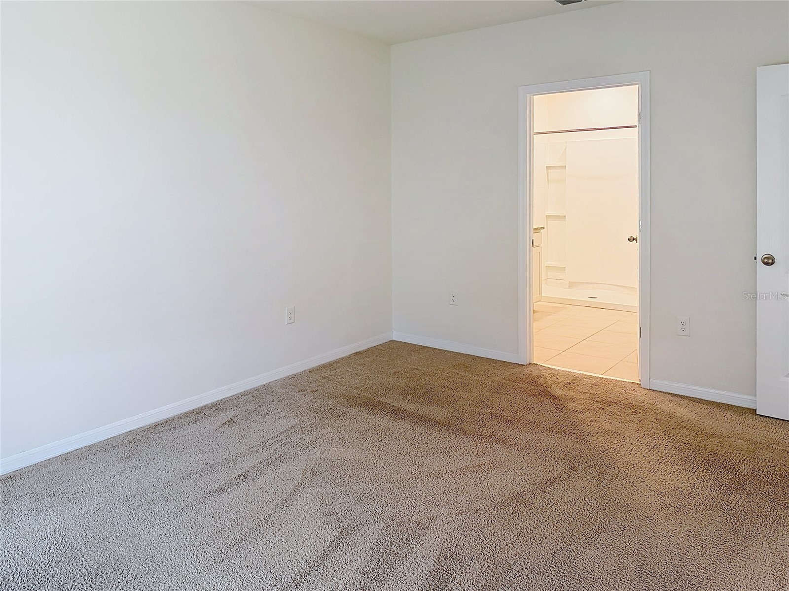 533 Talisi Loop Saint Cloud FL 34771 TB8518182 image19