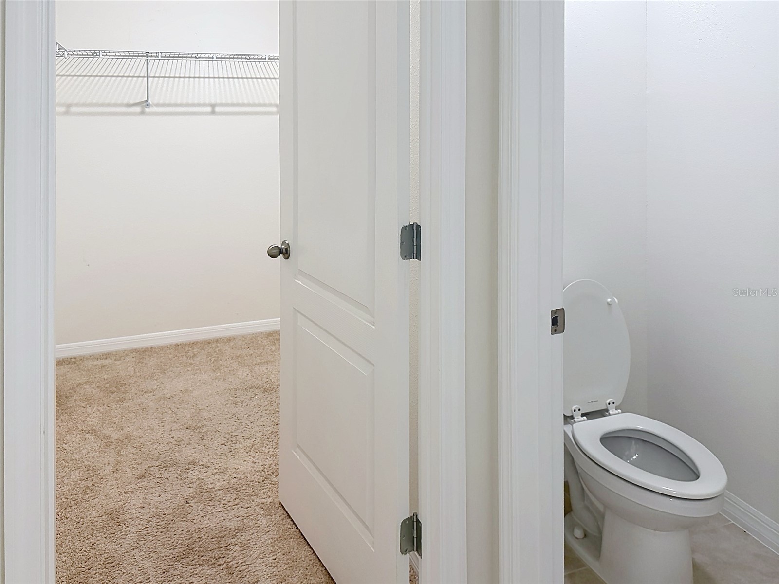533 Talisi Loop Saint Cloud FL 34771 TB8518182 image24