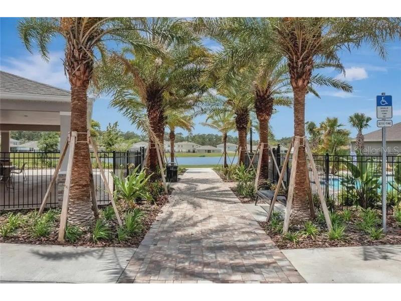 533 Talisi Loop Saint Cloud FL 34771 TB8518182 image36