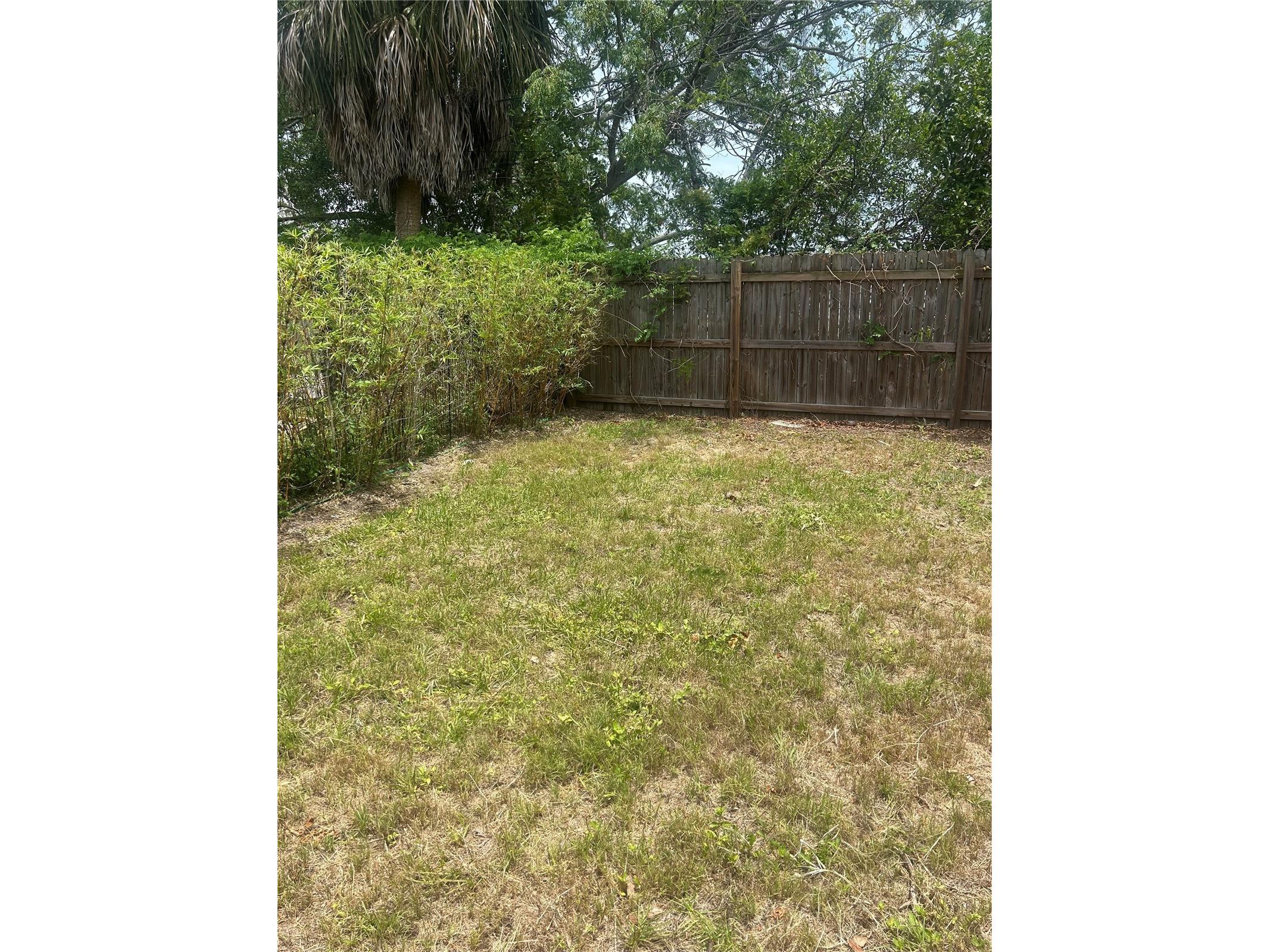 533 Yelvington Avenue Clearwater FL 33756 TB8526234 image10