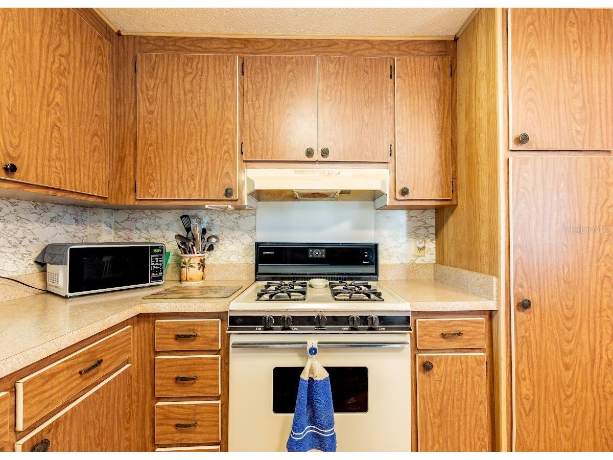 5330 Betmar Drive Zephyrhills FL 33542 TB8490311 image10