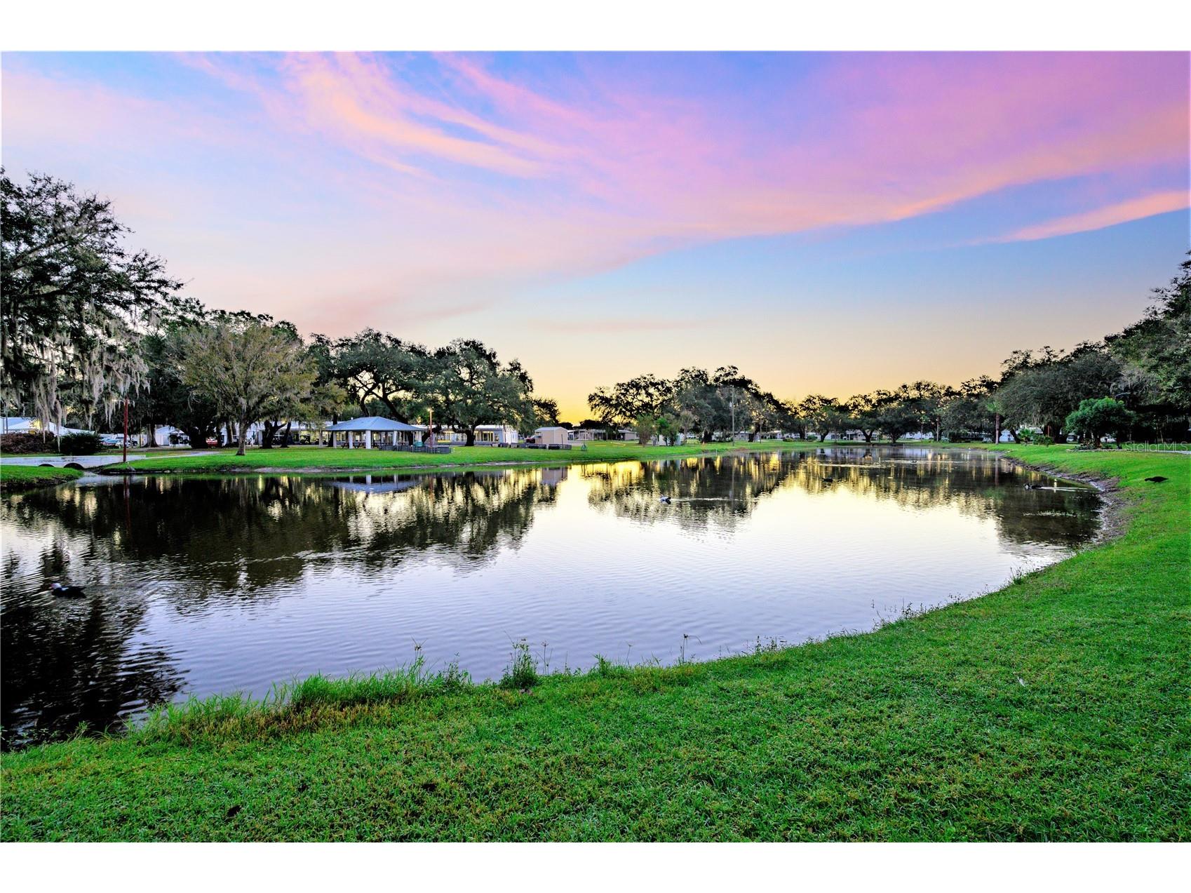 5330 Betmar Drive Zephyrhills FL 33542 TB8490311 image33