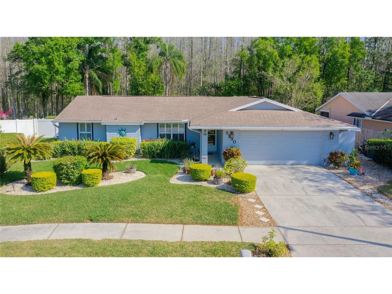 5330 Black Pine Drive Tampa FL 33624 T3433080 image1