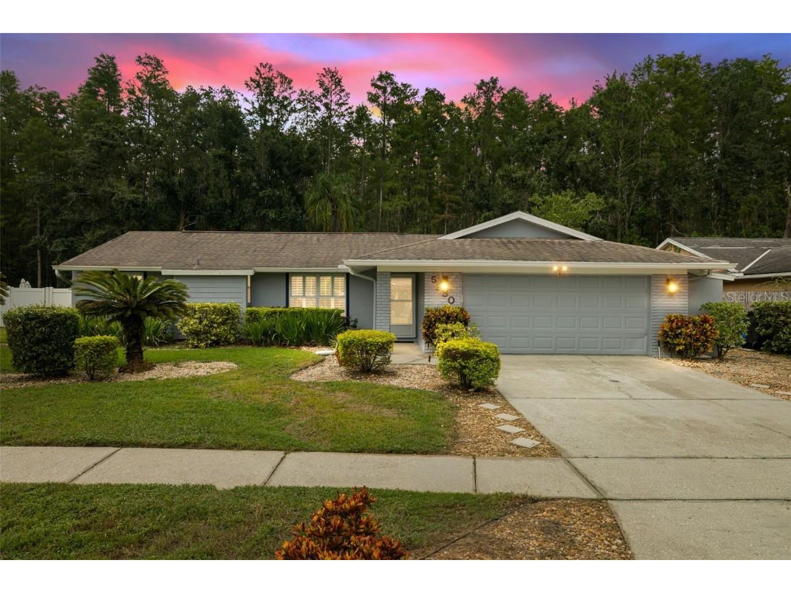 5330 Black Pine Drive Tampa FL 33624 TB8425258 image1