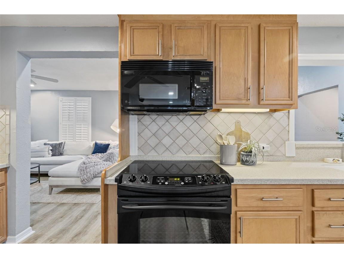 5330 Black Pine Drive Tampa FL 33624 TB8425258 image11