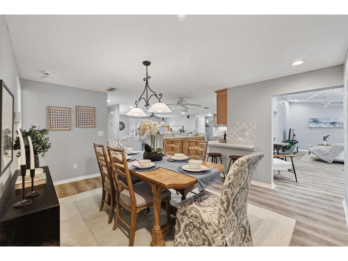 5330 Black Pine Drive Tampa FL 33624 TB8425258 image15