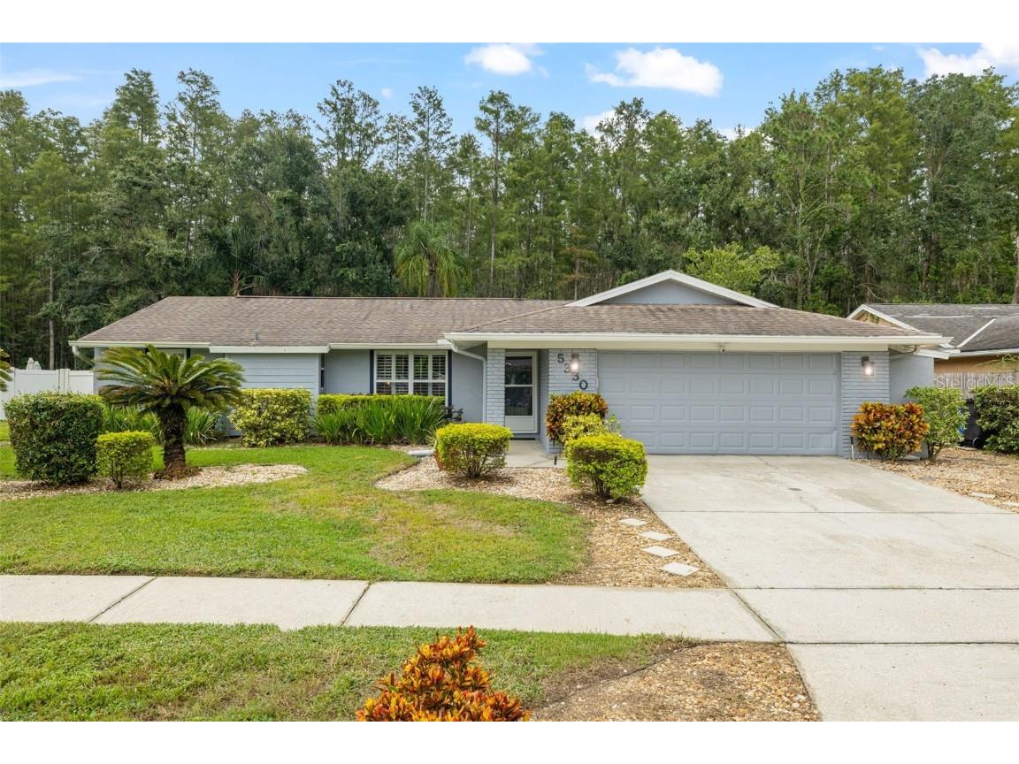 5330 Black Pine Drive Tampa FL 33624 TB8425258 image2