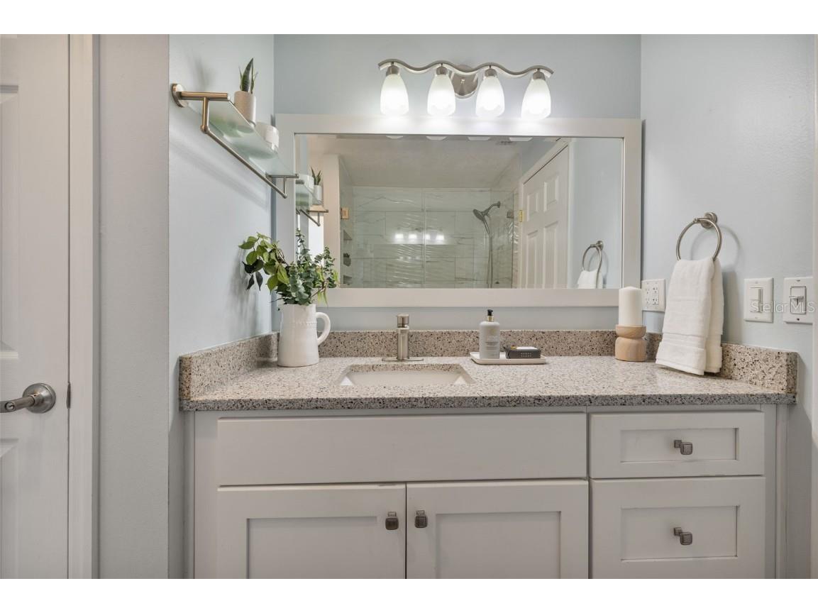 5330 Black Pine Drive Tampa FL 33624 TB8425258 image23