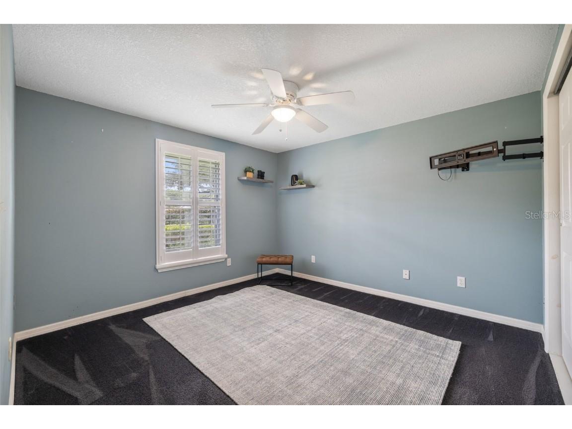 5330 Black Pine Drive Tampa FL 33624 TB8425258 image25