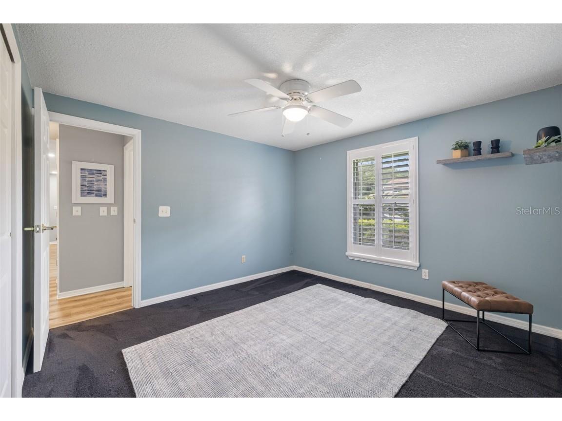 5330 Black Pine Drive Tampa FL 33624 TB8425258 image26