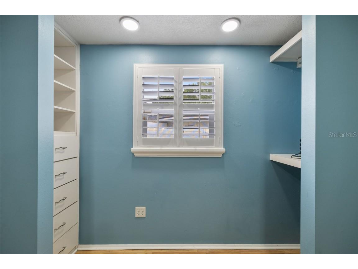 5330 Black Pine Drive Tampa FL 33624 TB8425258 image28