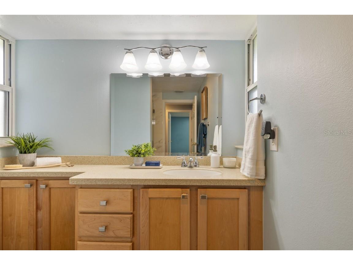 5330 Black Pine Drive Tampa FL 33624 TB8425258 image31