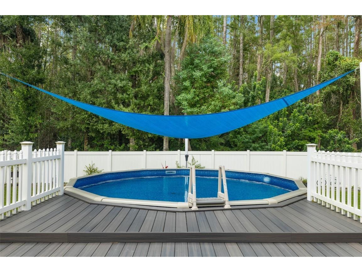 5330 Black Pine Drive Tampa FL 33624 TB8425258 image43