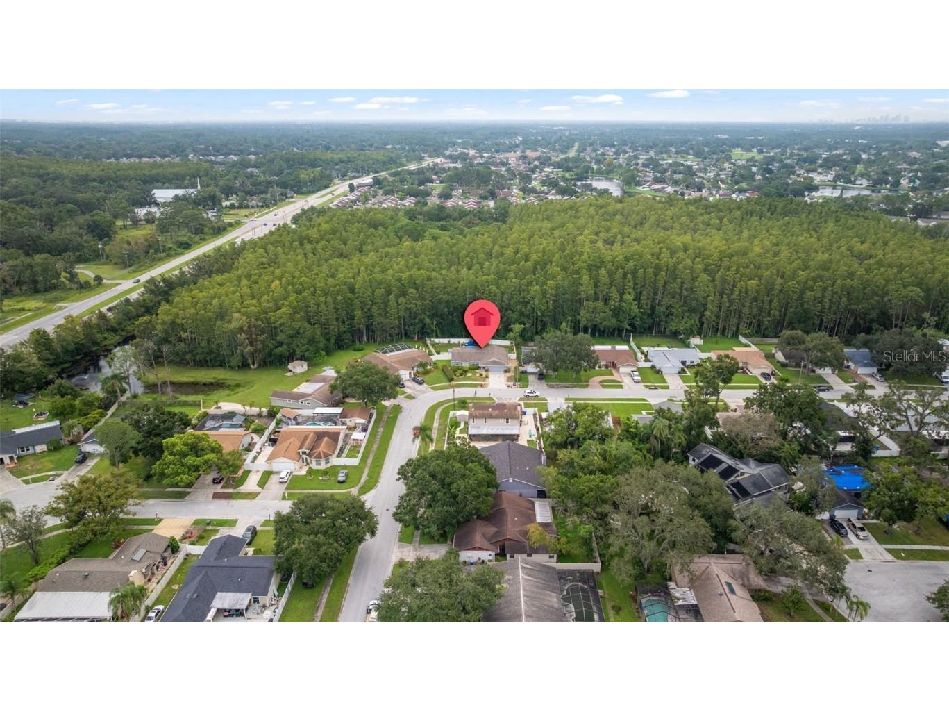 5330 Black Pine Drive Tampa FL 33624 TB8425258 image46