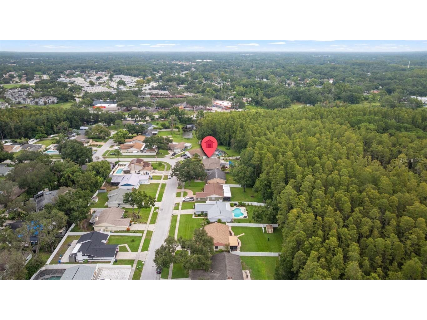 5330 Black Pine Drive Tampa FL 33624 TB8425258 image47