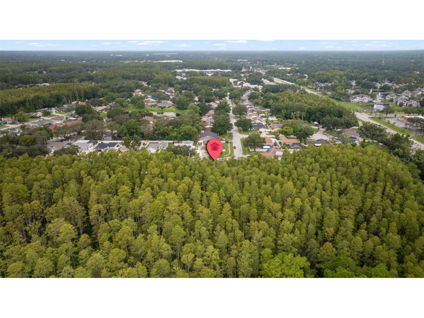 5330 Black Pine Drive Tampa FL 33624 TB8425258 image48