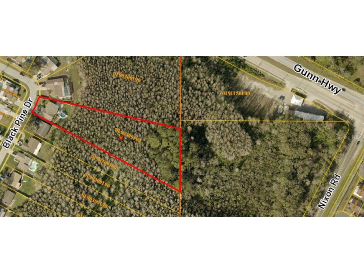 5330 Black Pine Drive Tampa FL 33624 TB8425258 image49