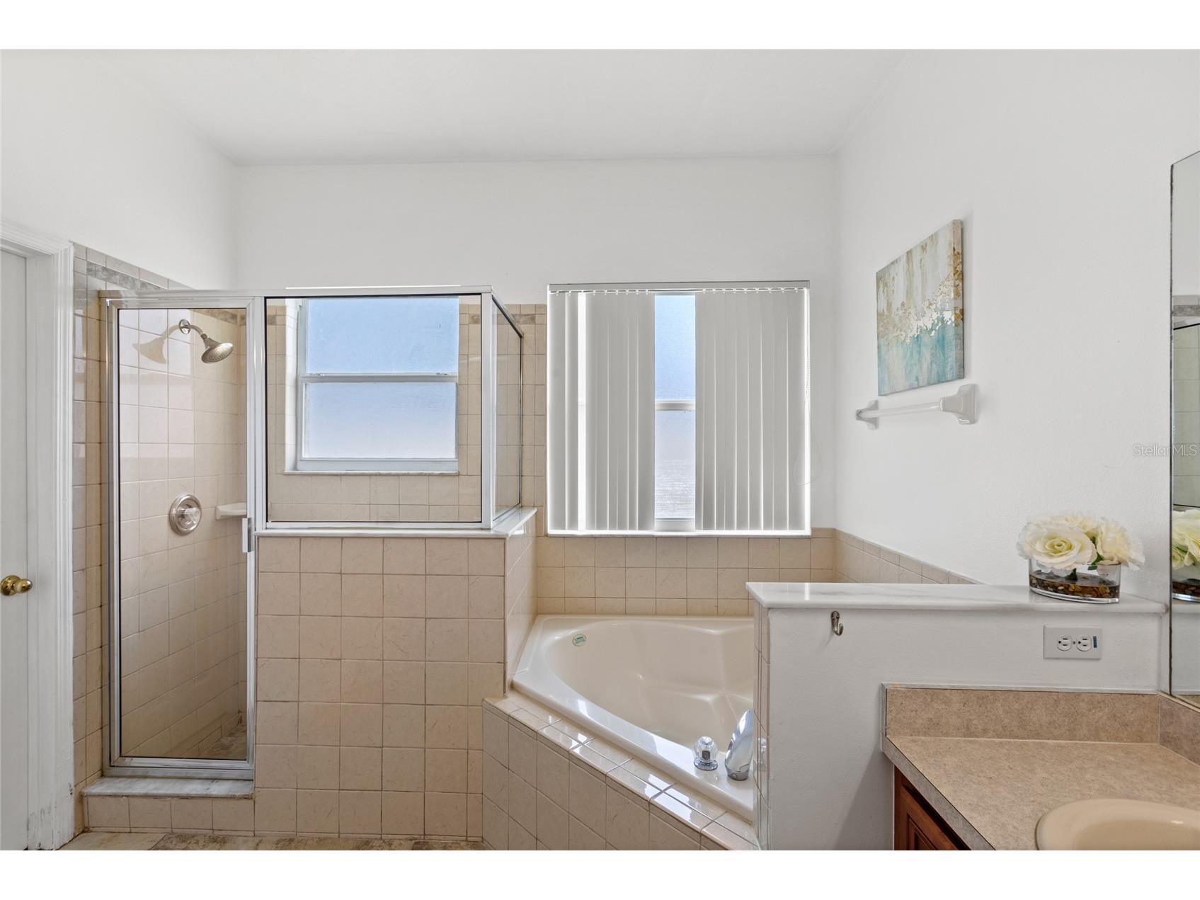 5330 Coral Vine Lane Kissimmee FL 34758 O6333719 image13