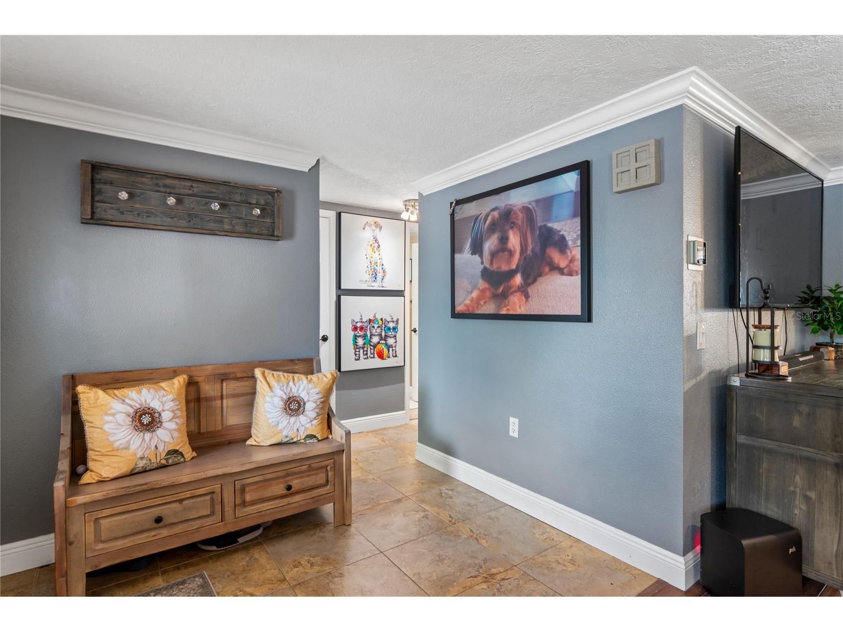 5330 Dove Drive New Port Richey FL 34652 W7885073 image5