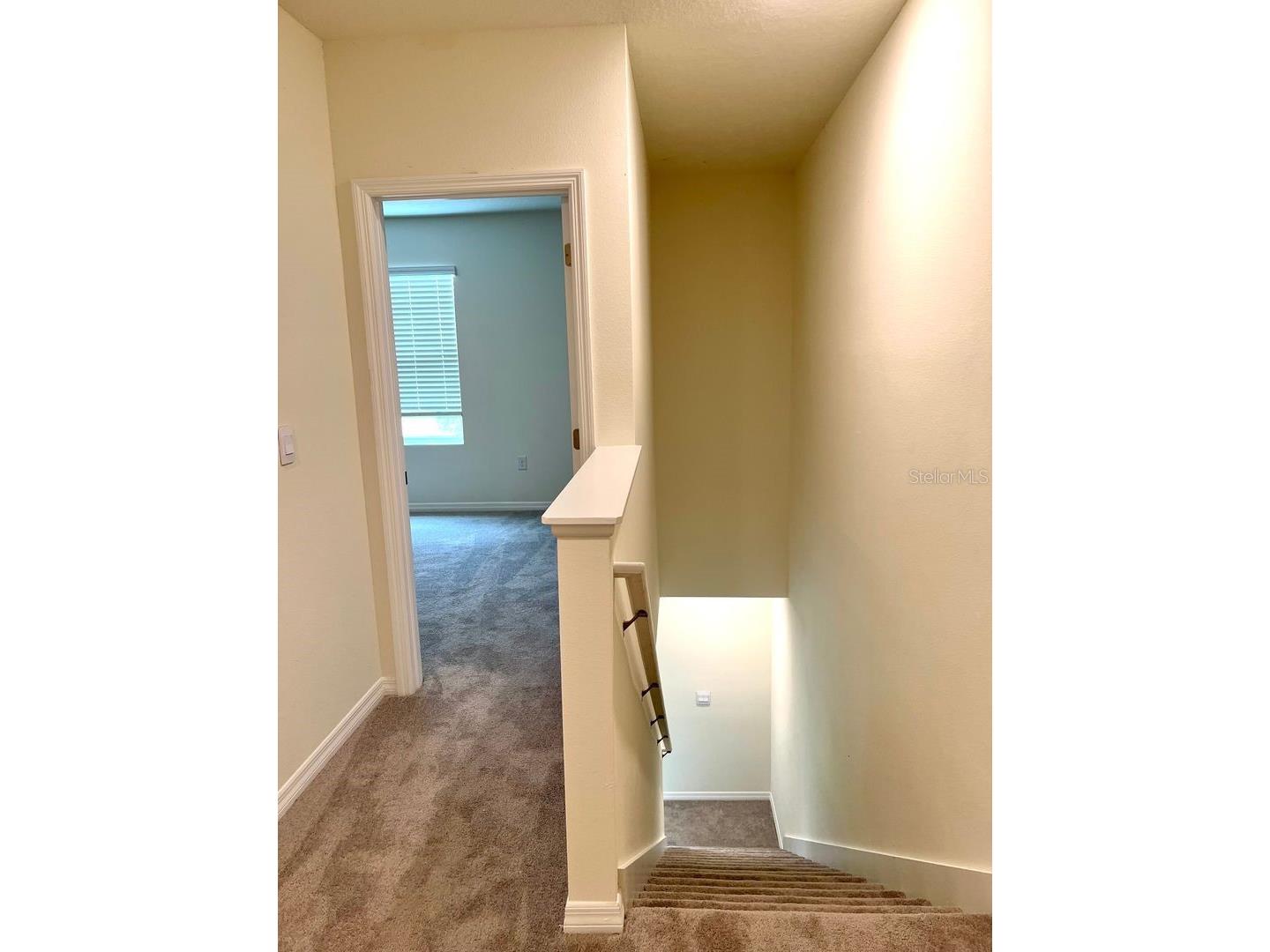 5330 Dragonfly Drive Wildwood FL 34785 TB8525801 image11