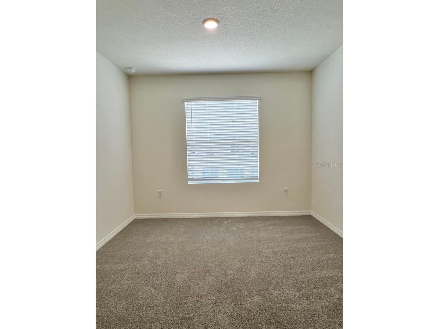 5330 Dragonfly Drive Wildwood FL 34785 TB8525801 image22