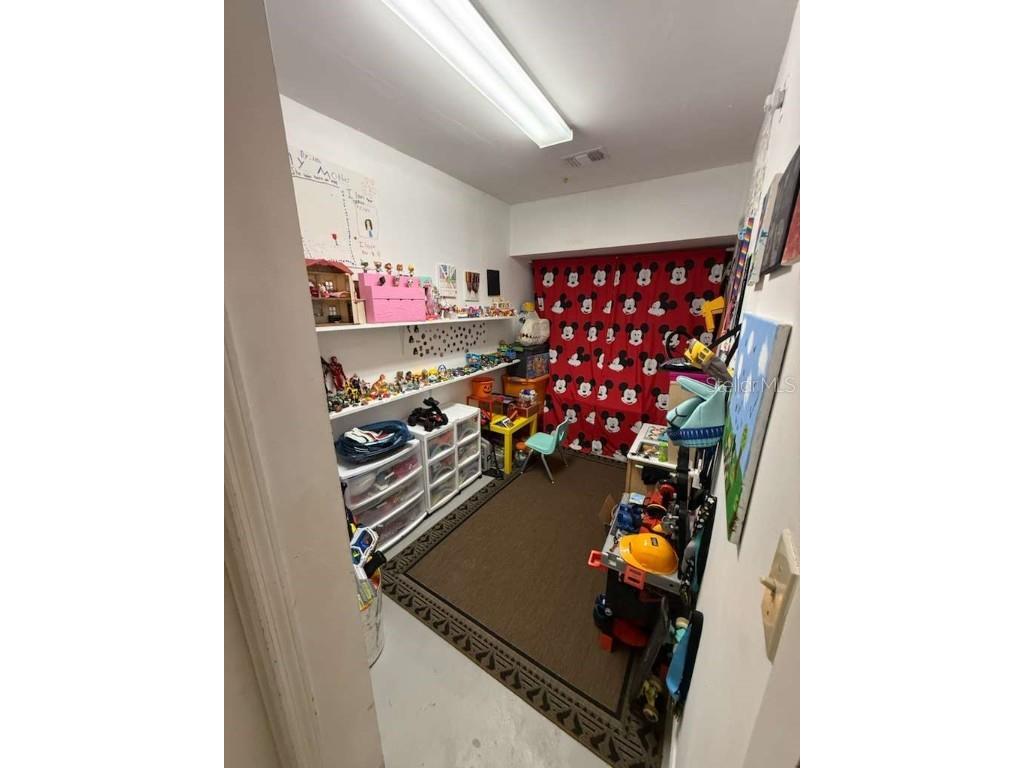 5330 Hawk Drive Kissimmee FL 34746 O6364809 image17