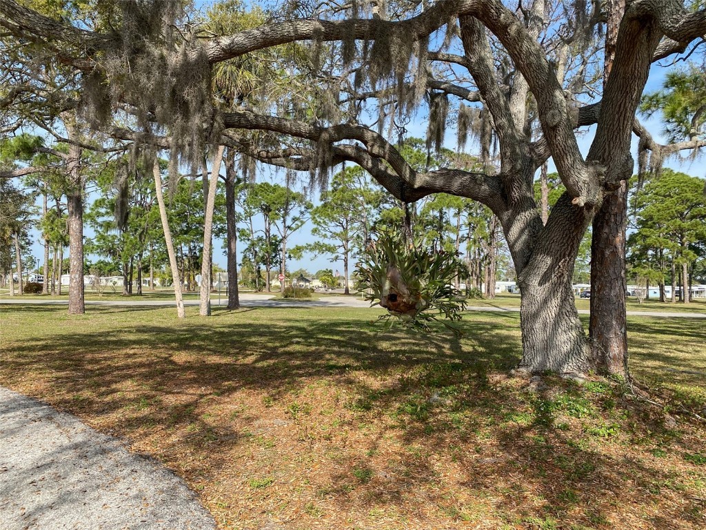 5330 Kula Court North Port FL 34287 C7489250 image12