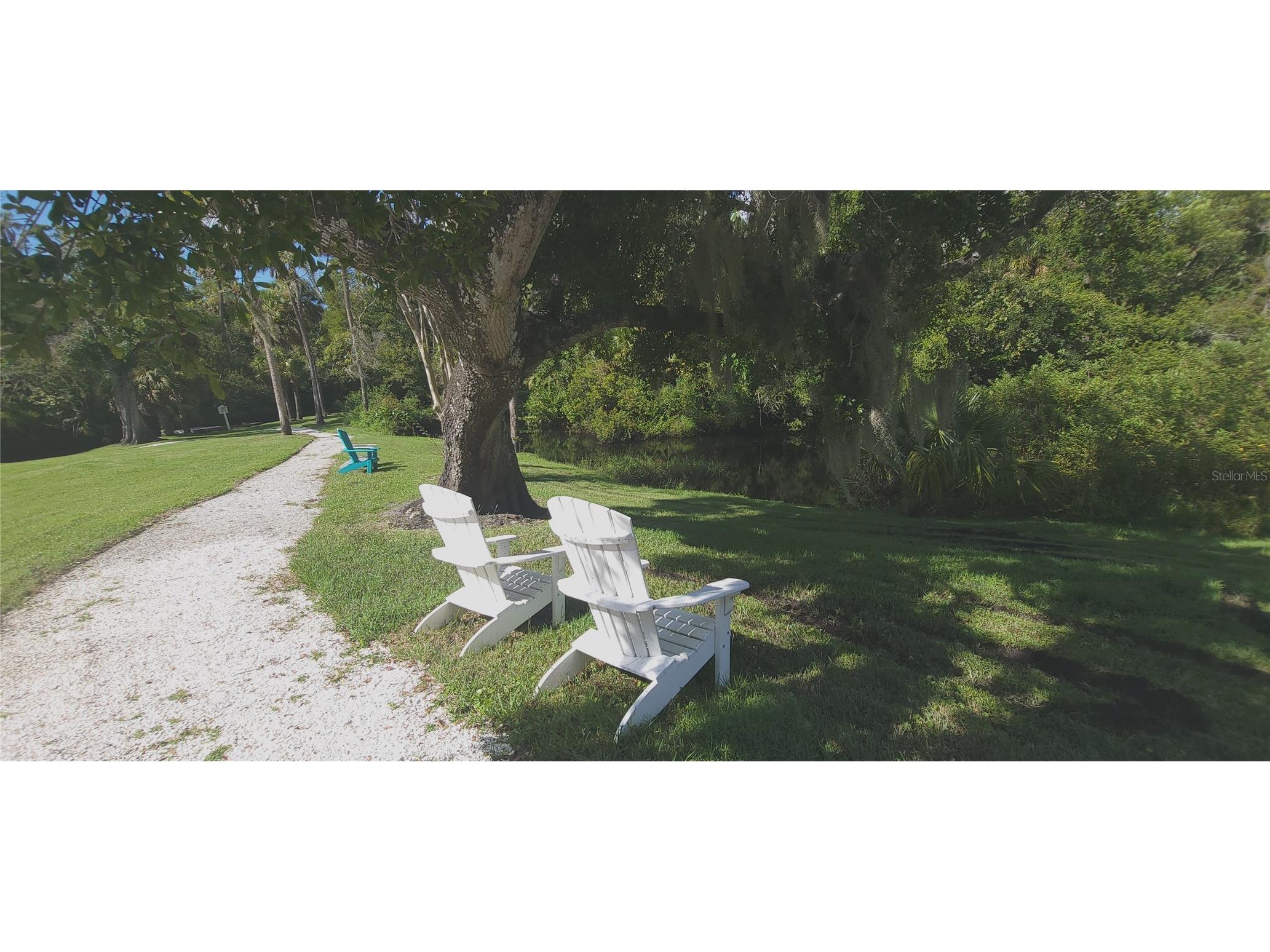 5330 Riverwalk Preserve Drive New Port Richey FL 34653 W7878324 image38