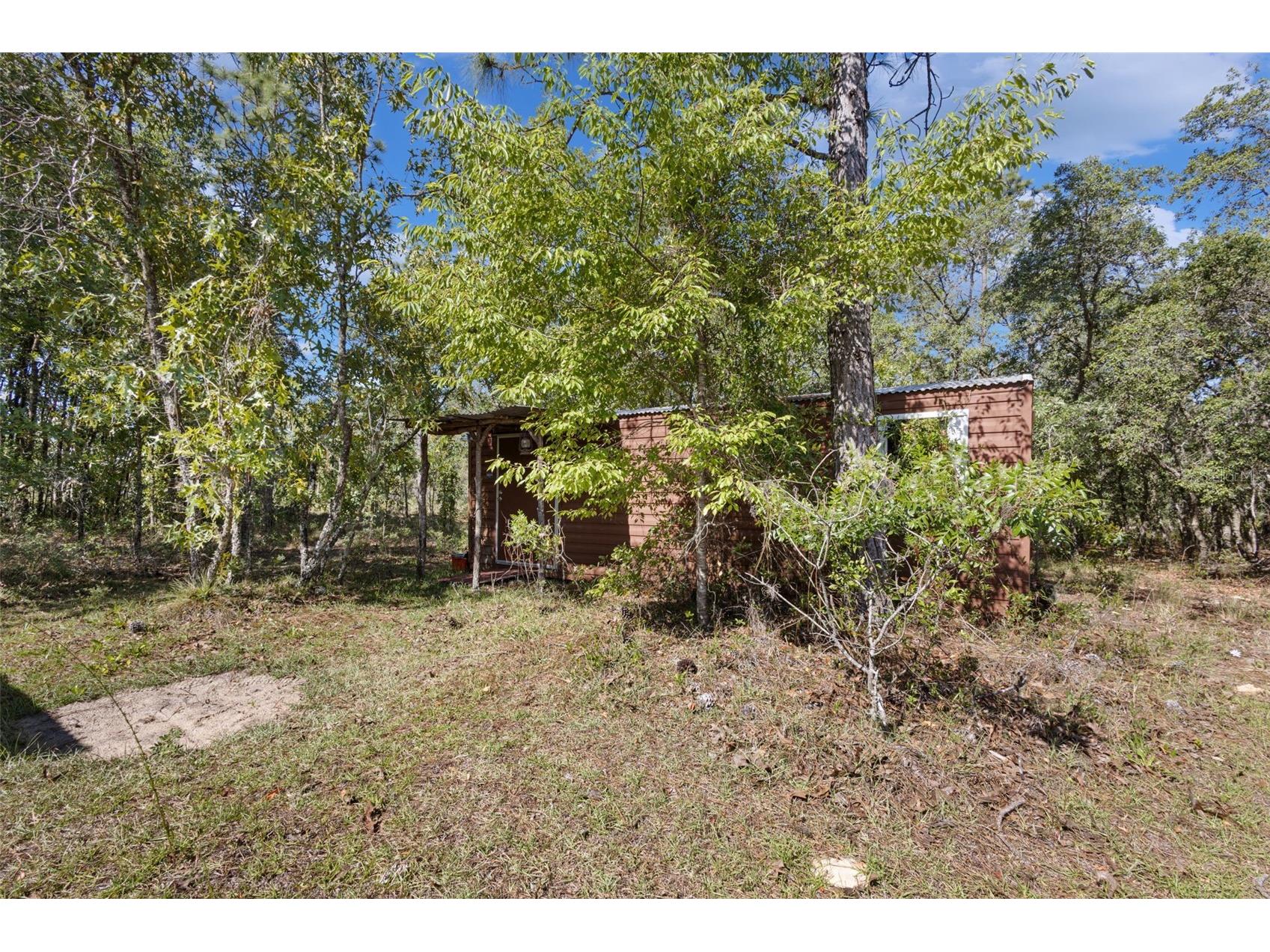 5330 SE 128th Terrace Morriston FL 32668 OM724419 image33