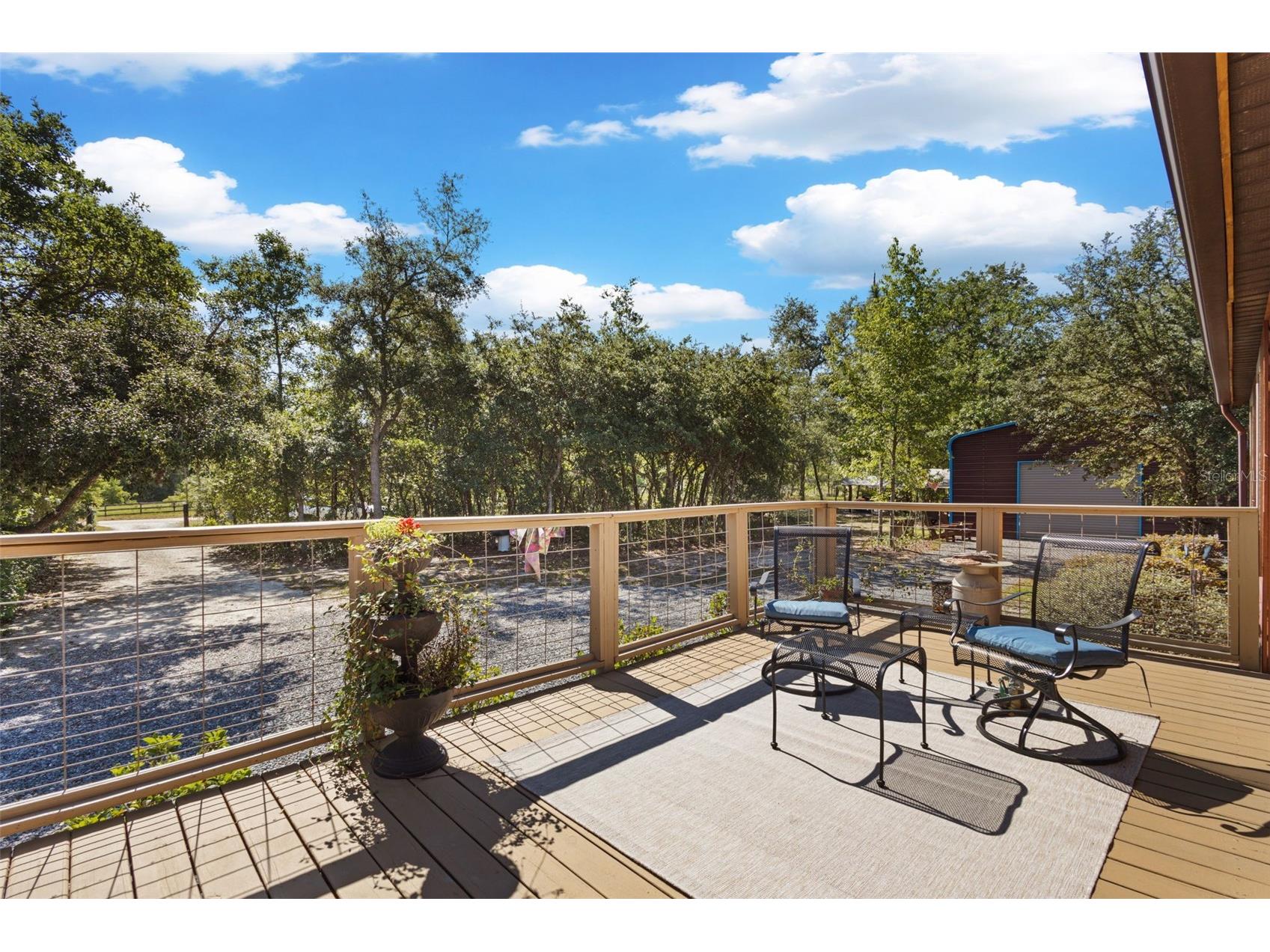 5330 SE 128th Terrace Morriston FL 32668 OM724419 image6