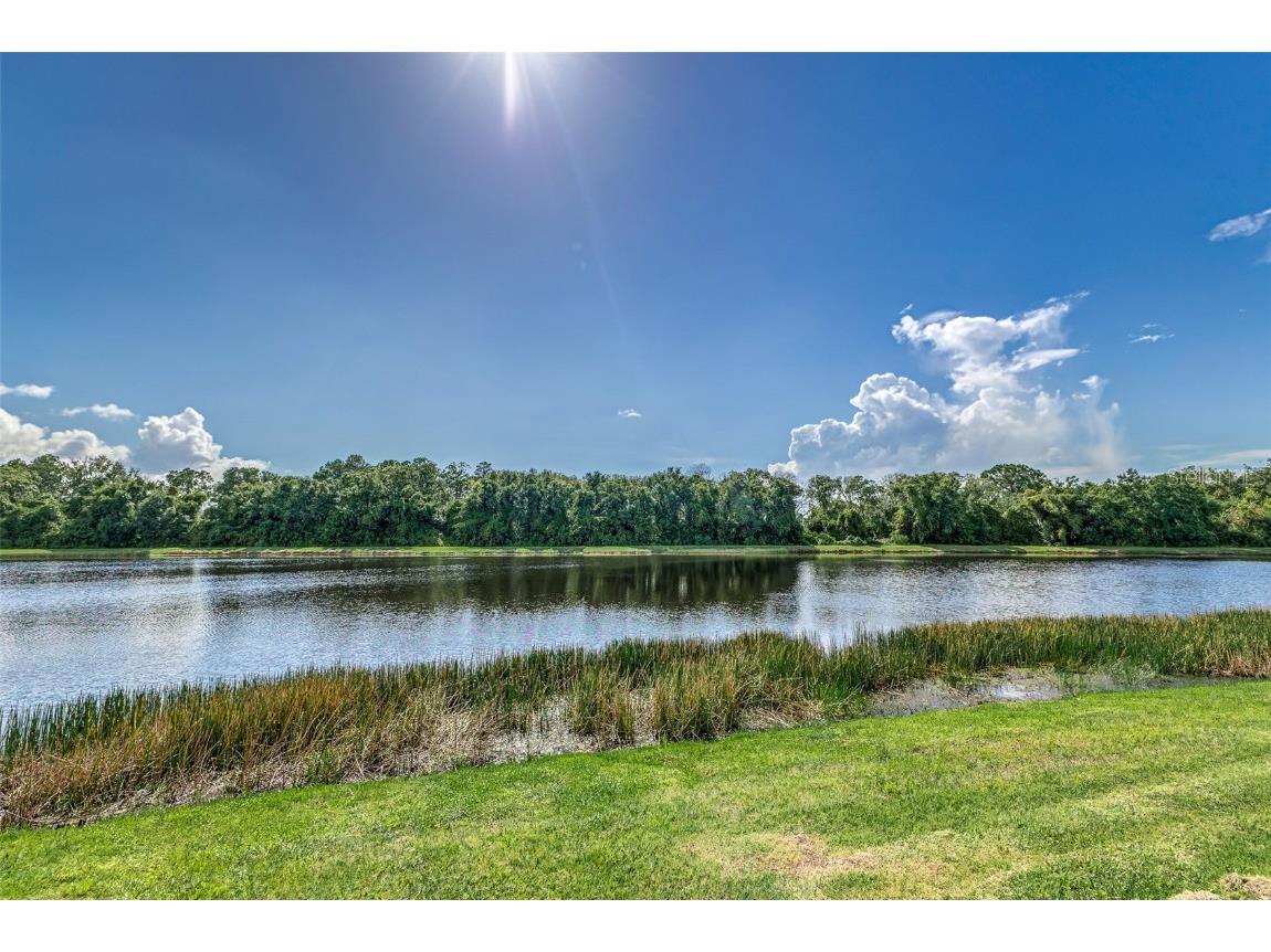 5330 Silver Sun Drive Apollo Beach FL 33572 L4957930 image50