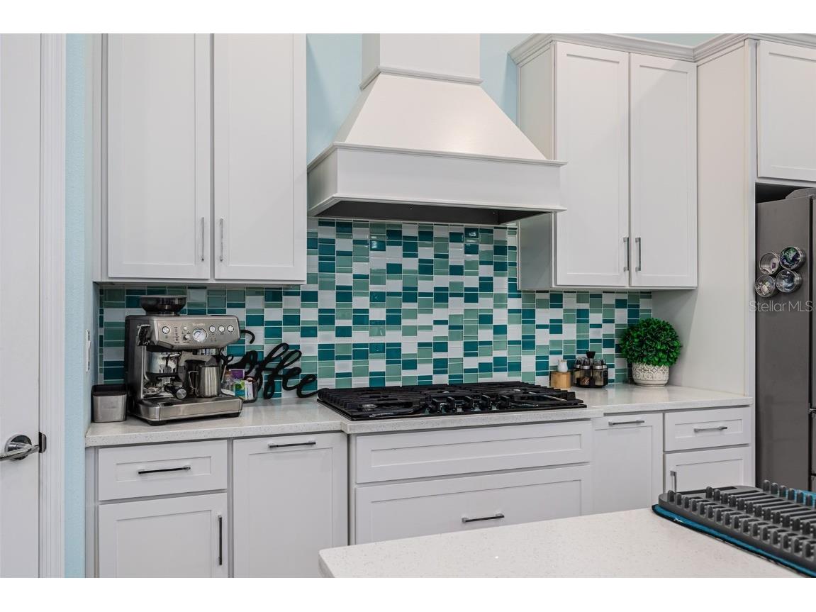 5330 Silver Sun Drive Apollo Beach FL 33572 L4957930 image9