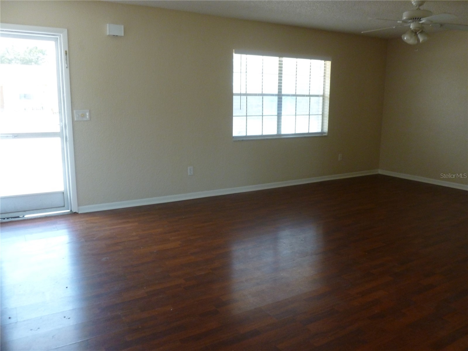 5330 Springwood Road Spring Hill FL 34609 W7887388 image7