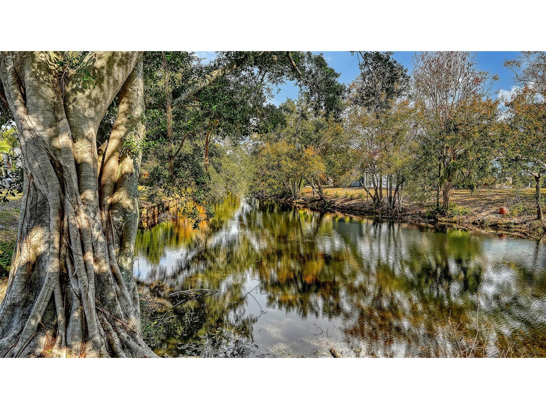 5331 Dominica Circle Sarasota FL 34233 - POND A4682075 image46