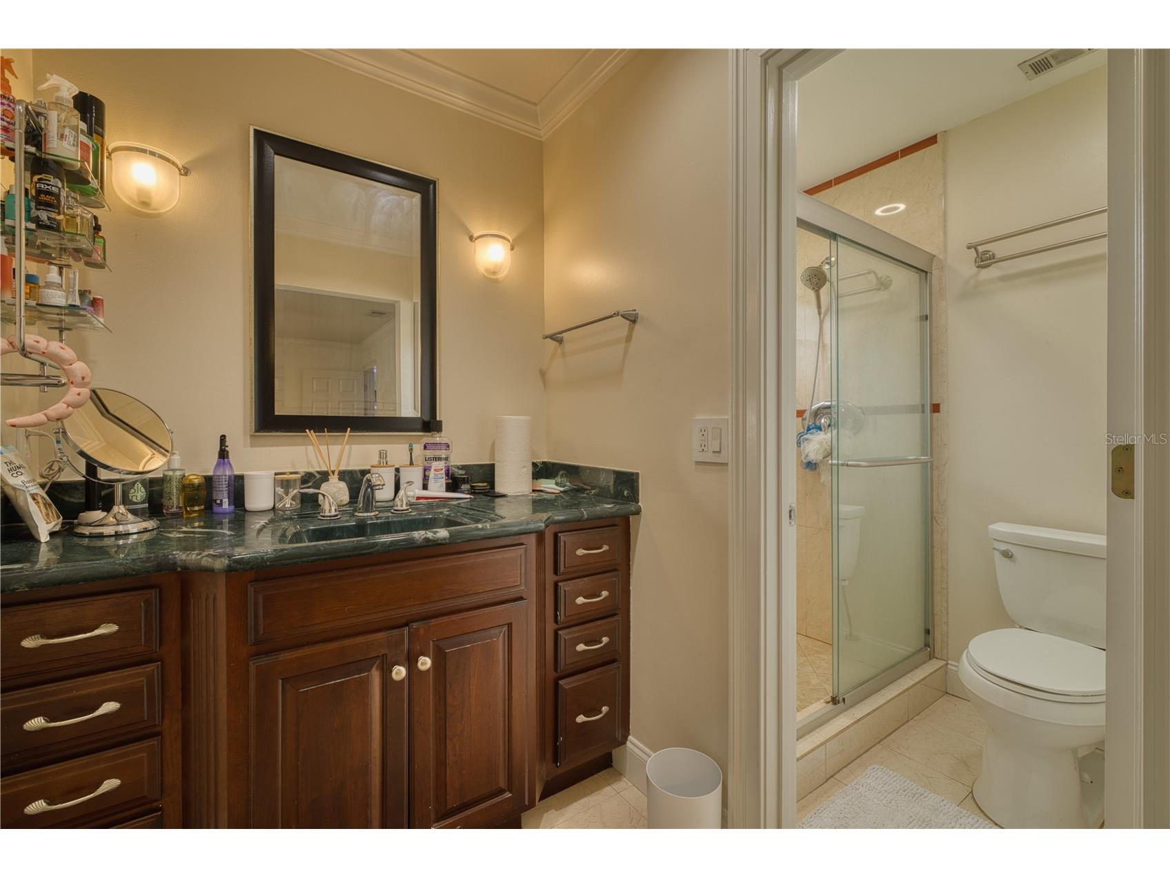 5331 Oak Court Winter Park FL 32792 S5130868 image18