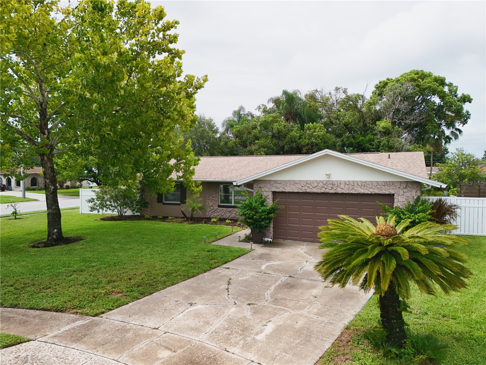 5331 Oak Court Winter Park FL 32792 S5130868 image34