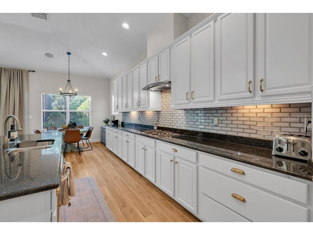 5331 Sagecrest Drive Lithia FL 33547 TB8455875 image16