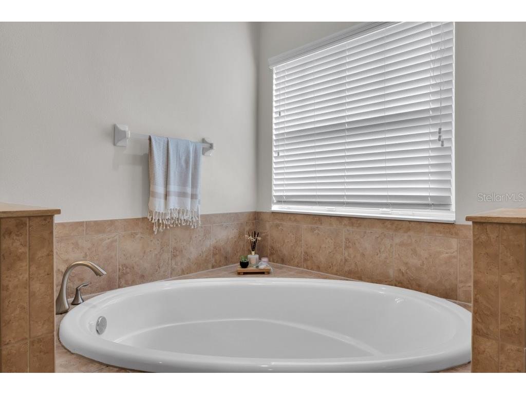 5331 Sagecrest Drive Lithia FL 33547 TB8455875 image22