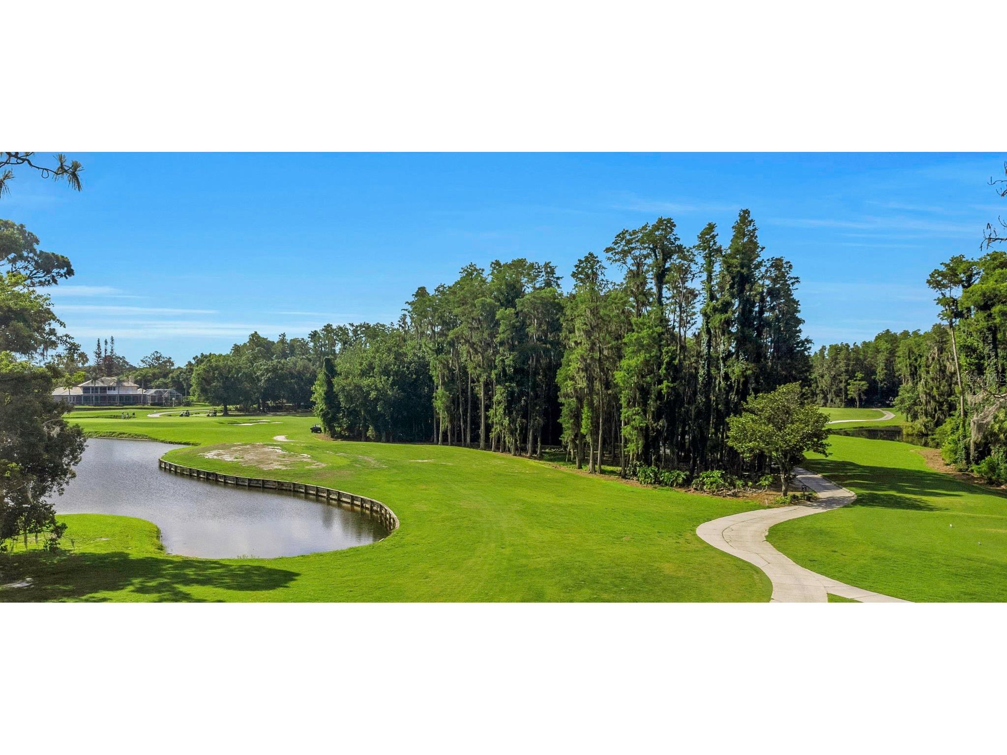 5331 Sand Crane Court Wesley Chapel FL 33543 TB8513771 image85